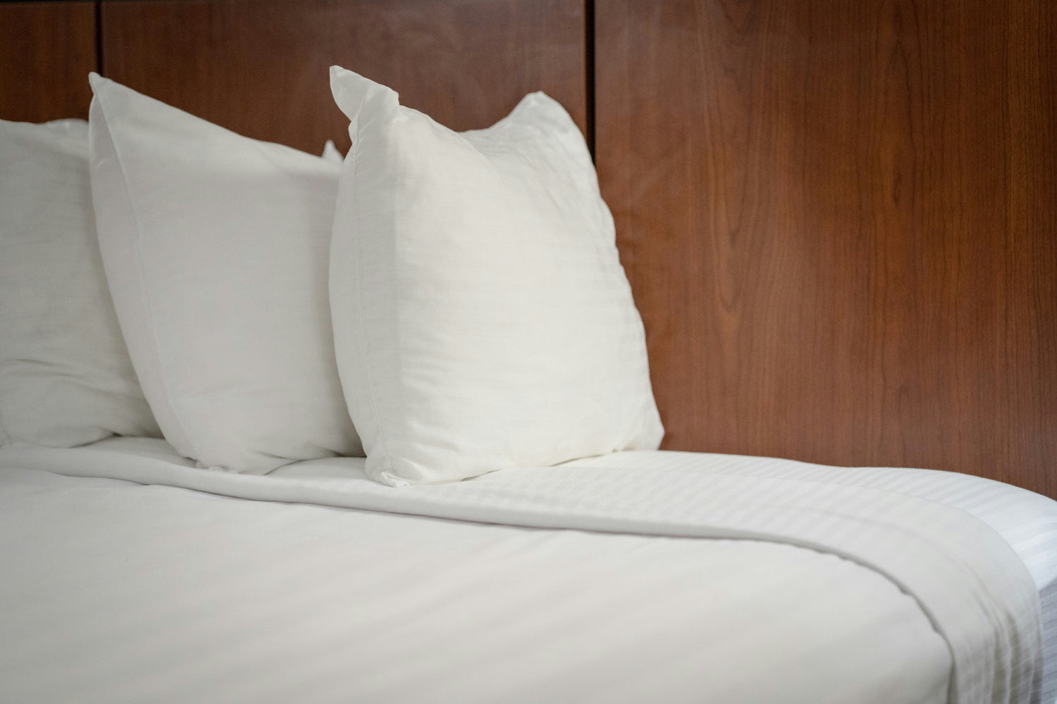Duvets & Pillows